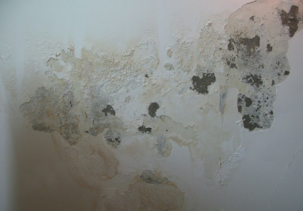 Tường nhà vệ sinh bị bong tróc, nứt vỡ